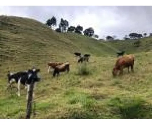 Lote El Retiro