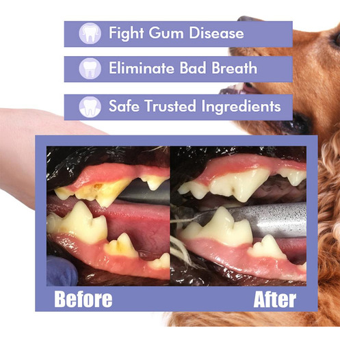 De Spray Oral Para Animales De Estimación Para Limpiar