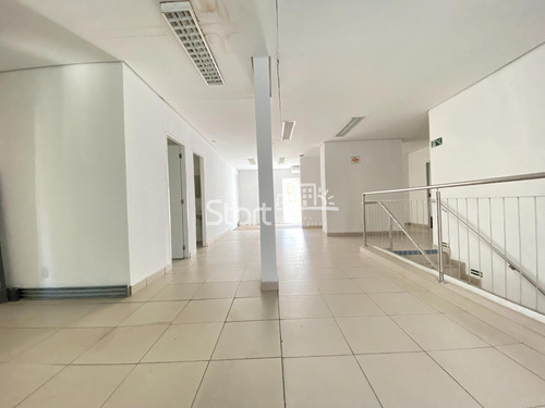 Imagem 8 de 16 de Casa Para Aluguel Em Cambuí - Ca008320