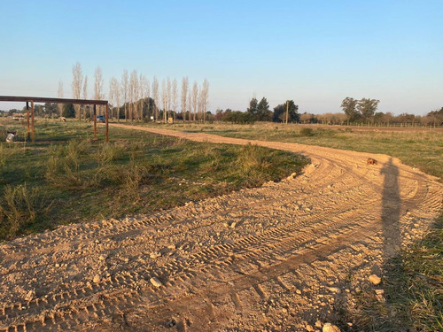 Terreno En Venta - 34.772mts2 - San Miguel Del Monte