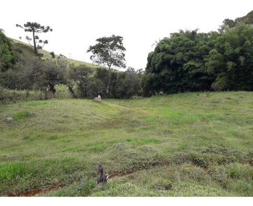 Sítio Carvalhos Com 20.000 M2 - 494