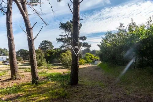 Venta Terreno Pinar Del Faro, 1000 Mts (pfg11)