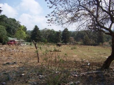 Imagen 8 de 11 de Terreno Urbano En Santa María Ahuacatitlán / Cuernavaca - Ber-183-tu