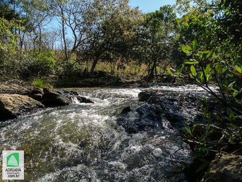 Venda Chacaras Lazer Com Acesso Ao Rio Verdinho Paisagem Paradisíaca - 5006
