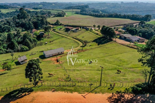 Imagem 26 de 28 de Chácara Com 2 Dormitórios À Venda, 121000 M² Por R$ 2.500.000,00 - Roça Nova - Araucária/pr - Ch0006