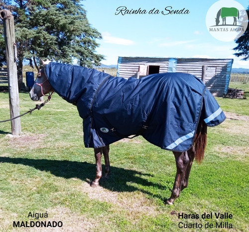 Manta Capa Caballo Importada (descuento Vta. Directa)