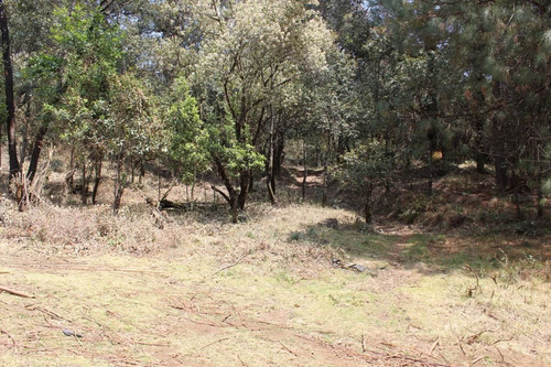 Imagen 6 de 10 de Terreno En Paraje Tetecuintla, Huitzilac, Morelos.