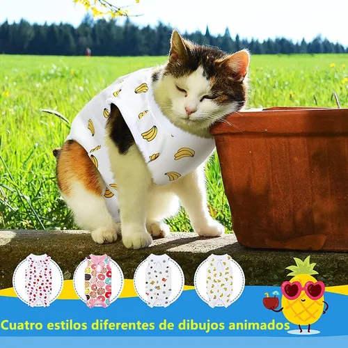 Xu Algodón Faja For Perros Gatos Esterilizada Y