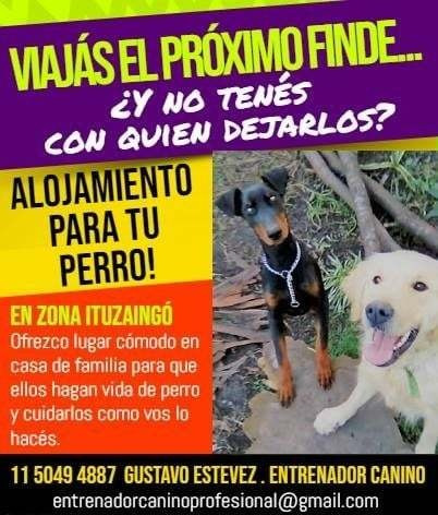 Imagen 5 de 7 de **adiestramiento Canino A Domicilio ** Guarderia Canina**.