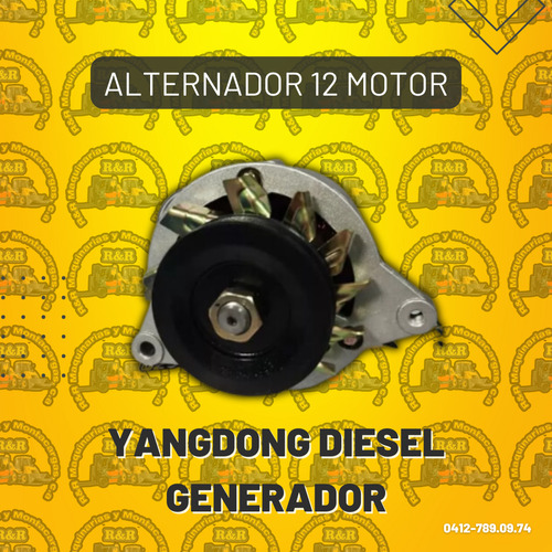 Alternador 12 Motor Yangdong Diesel Generador