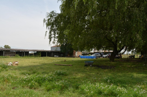 Imagen 9 de 24 de Venta De Campo De 2 Hectáreas En Guernica
