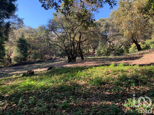 Venta Terreno 0 Ambiente Los Ocotes