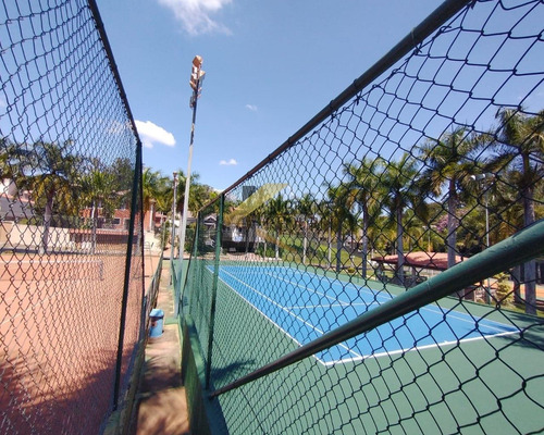 Imagem 9 de 12 de Terreno - Te04120 - 69378973