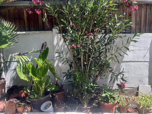 Casa En Venta De 3 Dorm. En La Florida