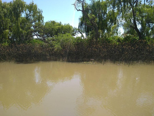 Imagen 4 de 10 de Terreno - Dorado