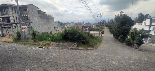 Imagen 7 de 13 de Terreno Urbanizacion El Manantial