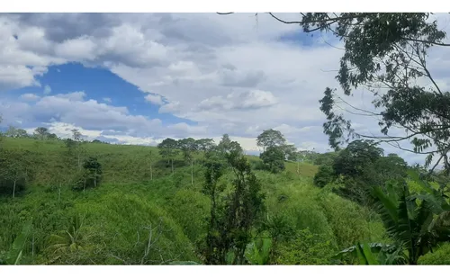 Se Vende Finca Vda La Julia Montenegro Quindío