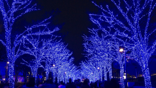 Imagen 5 de 5 de Serie De Luces Navideñas Azules Luz Fija 10m Interconectable