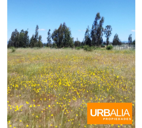 Parcela En Huerta Del Maule. San Javier