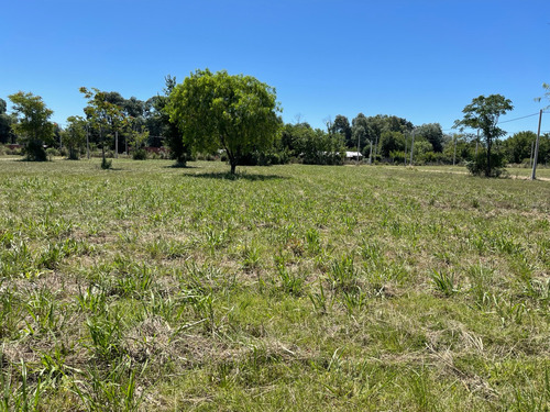 Terreno En  Loma Verde Los Laureles