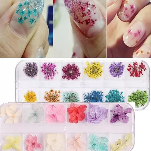 4 Cajas De Flores Secas O Naturaleza Muerta Para Manicure.