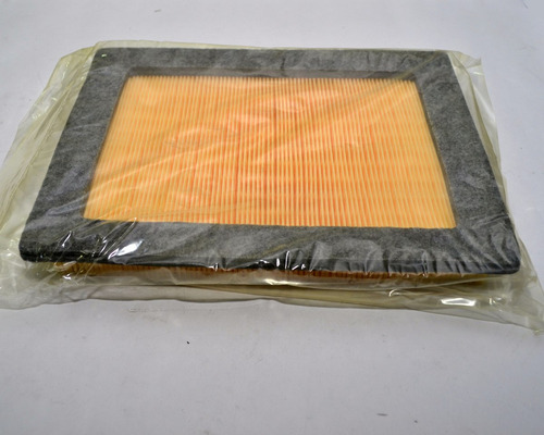 Imagen 3 de 4 de Filtro Aire Fx4 Expedition 2005+ Original Ford (8)