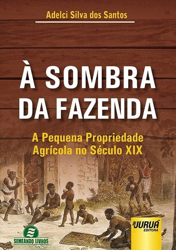 À Sombra Da Fazenda A Pequena Propriedade Agrícola No Século Xix, De Adelci Silva Dos Santos. Editora Jurua, Edição 1 Em Português