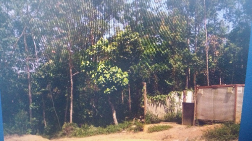 Imagem 17 de 30 de Terreno Botujuru Mogi Das Cruzes Sp Brasil - 87