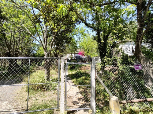 Imagen 5 de 30 de Importante Lote De 19.550 M², Ubicado En La Costa De Sarandí. Oportunidad