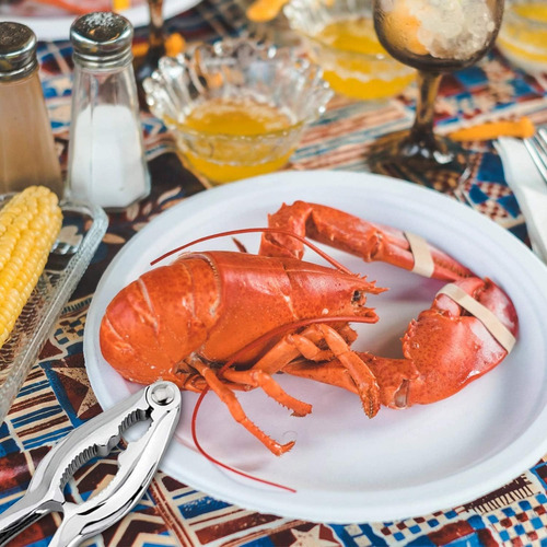 Juego Galletas Para Langosta Abridor Mariscos Herramienta