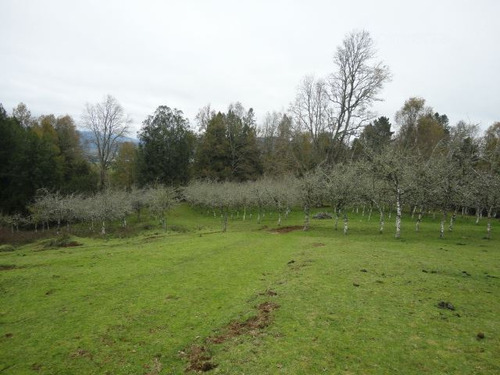 Agrícola En Venta En Paillaco