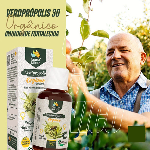 Kit 3 Própolis Verde Orgânico Puro 30% Alcoólico Extrato Pv