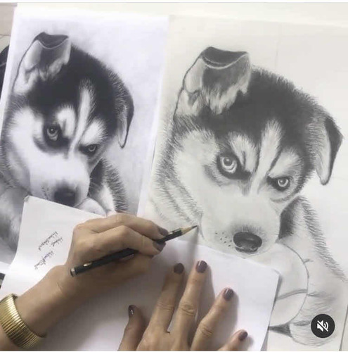 Curso De Desenho Para Crianças, Adultos E Terceira Idade.