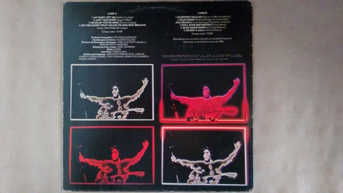 Raul Seixas Ao Vivo Único E Exclusivo Lp Disco De Vinil (Usado)