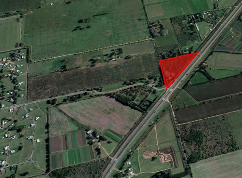Imagen 6 de 8 de Alquiler 3 Hectareas Sobre Ruta 6