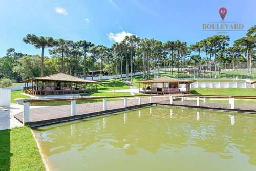 Imagem 1 de 18 de Chácara À Venda, 11734 M² Por R$ 1.200.000,00 - Santa Gema - Colombo/pr - Ch0003