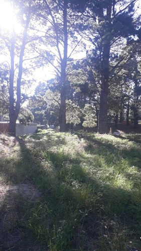 Imagen 2 de 6 de Venta De Estupendo Terreno En Villa Gesell