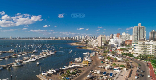 Imagen 4 de 15 de Fontaine Departamento Apartamento Piso Semipiso 3 Dormitorios 4 Dormitorios 5 Dormitorios 6 Dormitorios Alquiler Venta Puerto Península, Punta Del Este