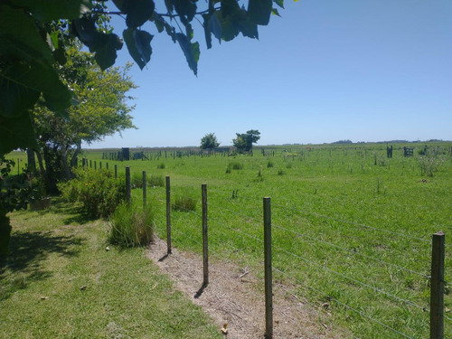 Campo Mixto En Chascomús - Permuta En La Plata