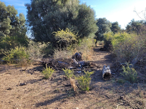 Terreno En San Javier Córdoba Traslasierra Lotes Venta