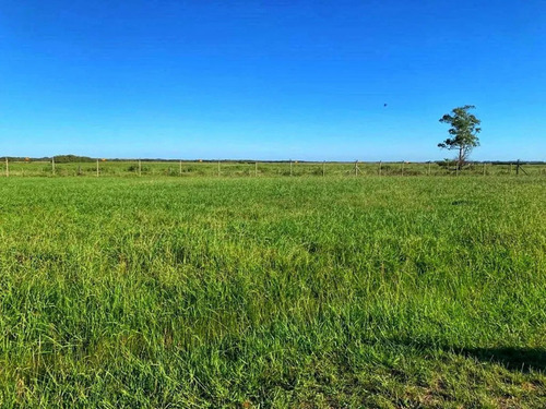 Lote De Terreno En Barrio Privado Las Calandrias, Cardales