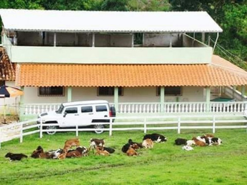 Imagem 7 de 7 de Sitio Em Minas Gerais Lugar Tranquilo E Ótimo Para Criar Gado - St-635