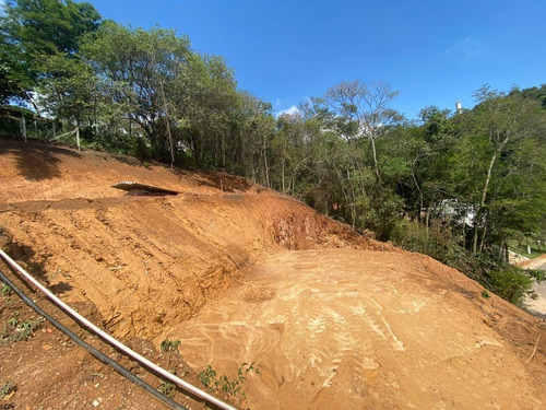 Imagem 3 de 11 de Terreno - Te00029 - 68702989