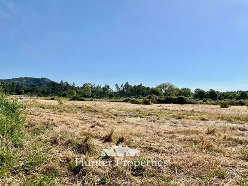 Parcela De 5.000m, Con Rol Propio, En Venta En San Clemente.