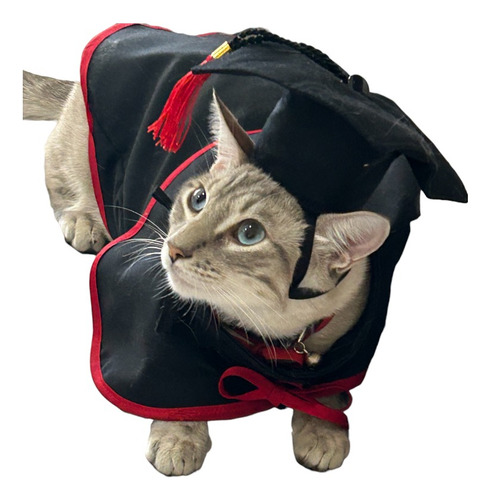 Disfraz De Graduado Para Mascotas Talla 1