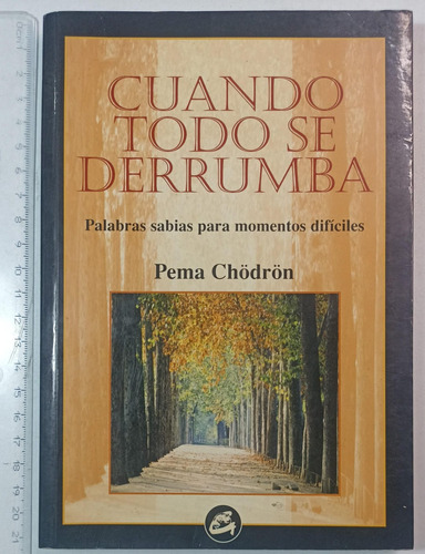 Cuando Todo Se Derrumba, Pema Chödrön