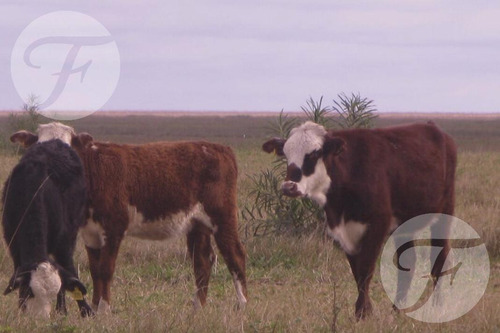 Campo Mixto En Venta - 2.270 Ha En Corrientes Con Gran Potencial Productivo