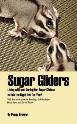 Sugar Gliders - Peggy Brewer (paperback)