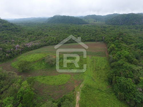 Imagem 5 de 21 de Fazenda - 229 - 70651803