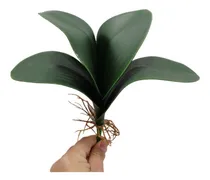 Comprar Folha De Orquidea Raizes Arranjos Artificiais Flores Linda